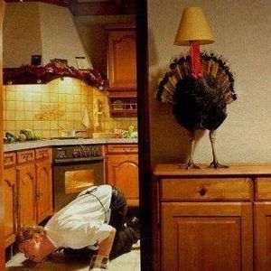 Meet your Posher, Barbara